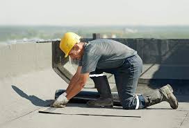 Best Skylight Installation and Repair  in Apple Valley, MN